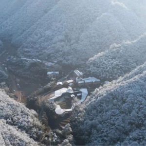 乡村振兴,从民宿去往何方?