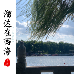 独处，孤独or自由？