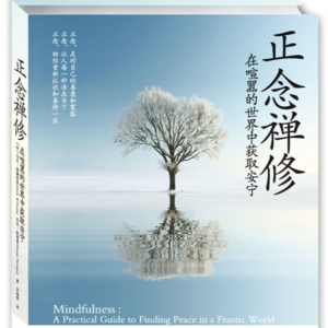喧嚣世界静心法 第二周 身体扫描_15分钟