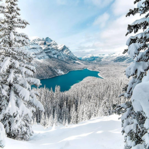 EP10 从加拿大跨省搬家一直聊到自媒体“自驱力”