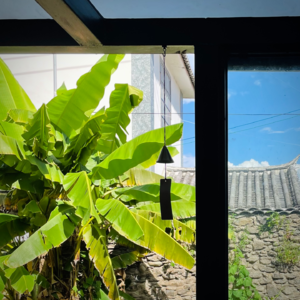 Vol.7 在大理和好朋友一起听歌，聊聊我们喜欢的云南乐队