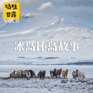 Vol.12 人在旅途| 在冰岛追极光，徒步找飞机残骸，撩冰岛马，是怎样一种体验？（下集）