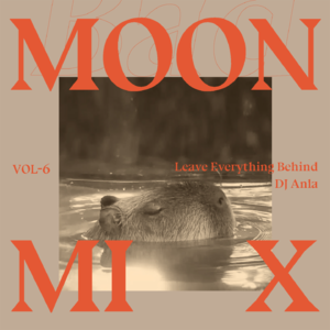 MoonMix ｜ Leave Everything Behind by Anla