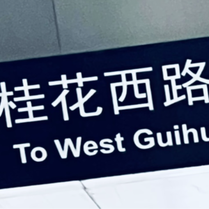 6 在我的宇宙里，快乐就是唯一的法则