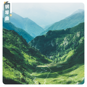 【钢琴曲】李斯特：旅行岁月《奥伯曼山谷》