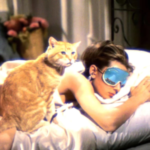 回旋成睡梦里最动听的歌 祝好梦