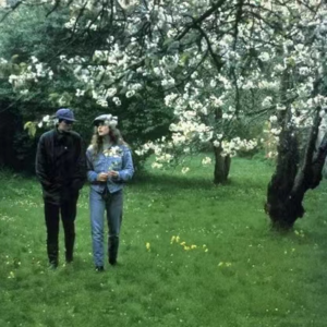 BGD011 | 认真过春天，不要失去发芽的心情