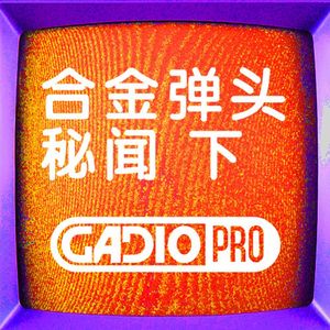 合金弹头秘闻（下）