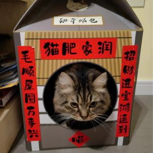 No.41 向世界宣告我还活着|春节特辑