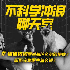 猫猫狗狗居然有这么多的绝症？听听宠物医生怎么说？