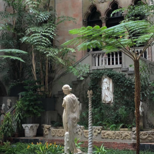 03#田野沙发#🛋另一种花园想象：博物馆里的植物们