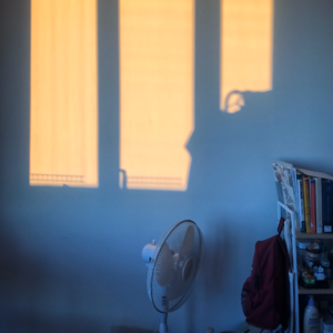 层析液的房间（P2）丨创伤·漂泊·治愈 我们最终会回到哪一个房间里？vol.11