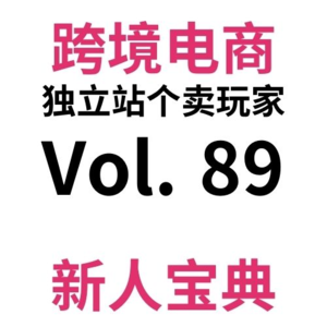 Vol89.2023年-2025年是跨境电商独立站个卖的最佳入局窗口期？