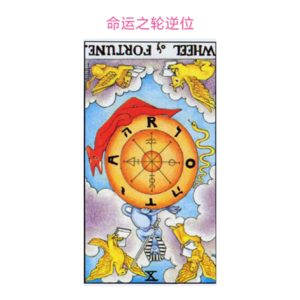 案例分析 | 用一张塔罗牌的寻猫记