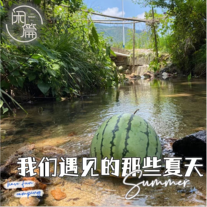 Vol.55 闲白话│我们遇见的那些夏天