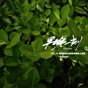 Vol.43 关于“无效社交”,聊聊我是怎样看待的