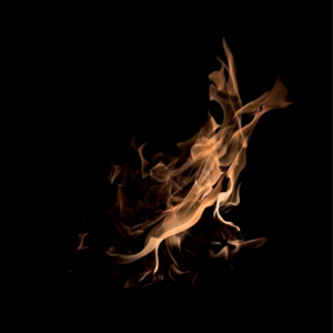 E130 动态修行 I 冬至回家:爱是萤火虫的振动