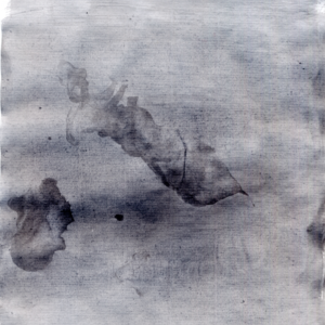 退休后的修仙生活难道才是人生的起点？