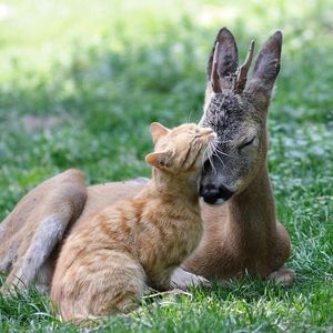 小吵怡情，大吵伤身