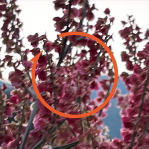 Vol.64 愉悦清单|那些让你觉得“何德何能活着真好”的事