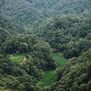 登山感悟