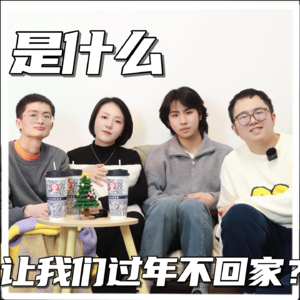 是什么让我们不回家过年?