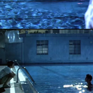 1.0「夏日」将至——两只树懒的隔空碎碎念