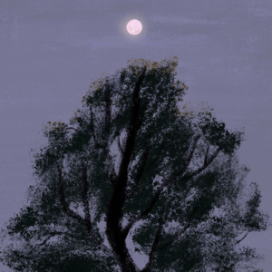 10-助眠ASMR-睡个好觉