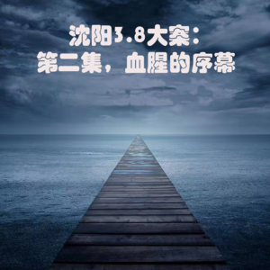 沈阳3.8大案：第二集，血腥的序幕