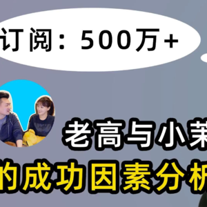 解析老高与小茉的成功之道，中文第一YouTuber是如何炼成的？