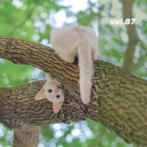 vol.87 藏在宿舍楼里的申城之春