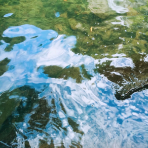 秋分时节 跳进落叶纷纷的秋