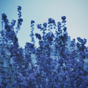 2.春天是不是快来了？