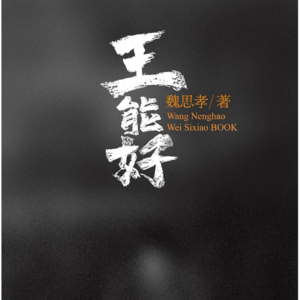 vol.007《王能好》（上）：对崇高的消解就是对真实生活的尊重