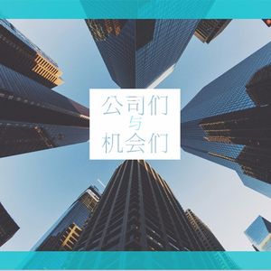 公司们与机会们