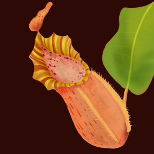 《猴杯》：这本书太重口味了我差点没读下去......