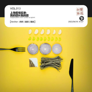 vol.013上海疫情实录：我的团长我的团