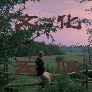 Vol.39 镜子:塔可夫斯基是如何雕刻时光的？