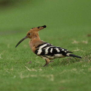【邂逅时节-谷雨】叮~2022年的春日余额不足，这里有一份春日小结，请查收！