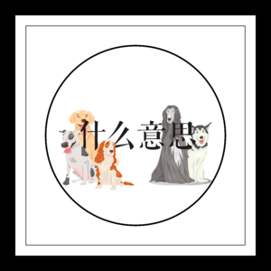 Vol.3 我们为什么喜欢犬塑?