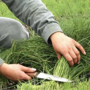 ep89 宇宙尽头是卖课，创业尽头是割韭菜