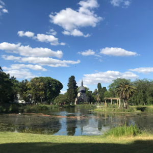 Vol.5 - 美国初恋, 南美钟情, 回国后终牵手—姚异姚的B Corp情缘