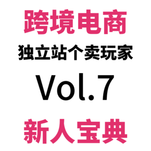 Vol7.如何利用补充Feed优化GMC？跨境电商独立站最强免费流量！Google Shopping优化指南（三）