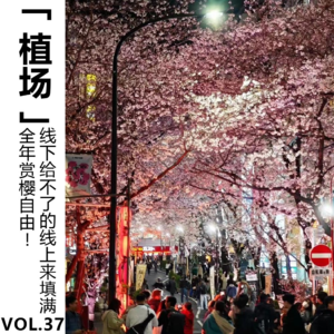 Vol.37 全年赏樱自由！线下给不了的线上来填满