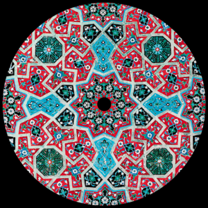 鬼台第425期：献给虎尾兰的颂歌