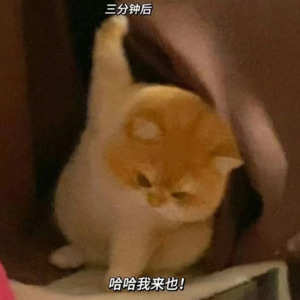 Vol.0 拜托～三分钟热度也超酷的！