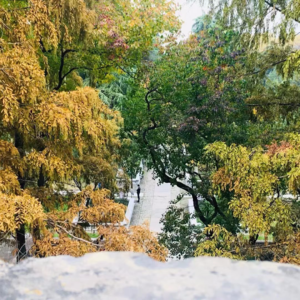 2. 风波 | 80+“叔叔”把我拉黑了