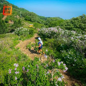 EP80: 越野跑漫谈：从新手小白开始进阶，我们用经验告诉你都需要注意些什么