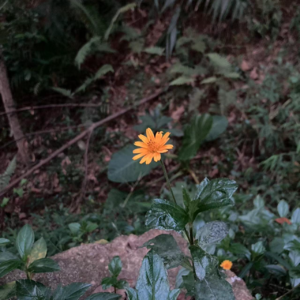 EP43-听了会有好运捏|玄学搞钱太奇妙了吧!靠近玄学吸财女孩王阿水吧啊哈哈哈哈哈哈哈