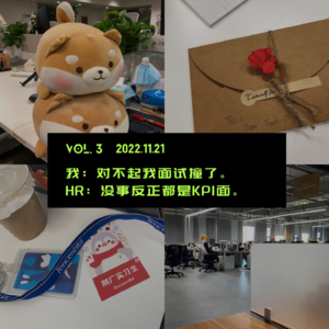 Vol.3 我：对不起我面试撞了。HR：没事反正都是KPI面。